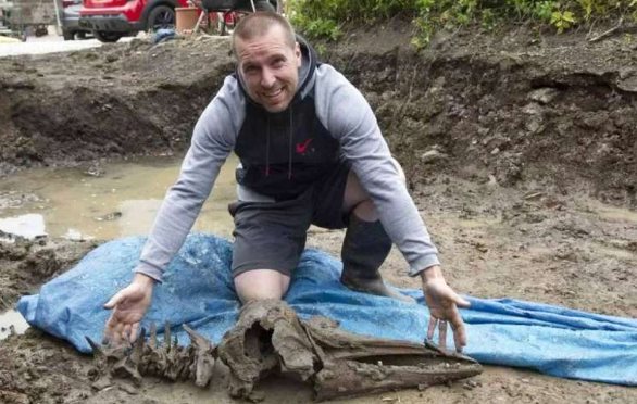 اسكتلندي يعثر على عظام دولفين عمرها 8000 عام